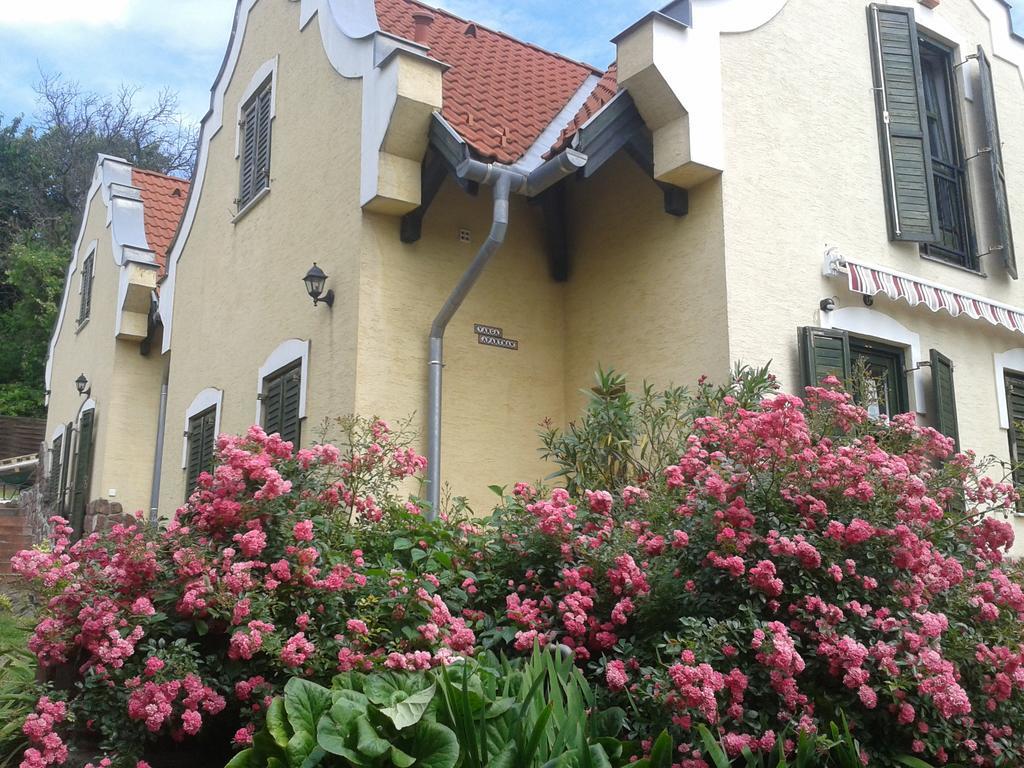 Hillside Apartments Révfülöp Værelse billede