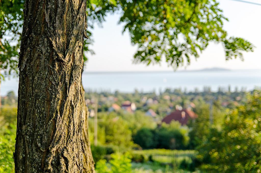 Hillside Apartments Révfülöp Eksteriør billede